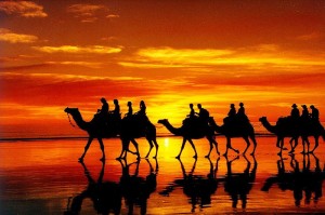 camel beach